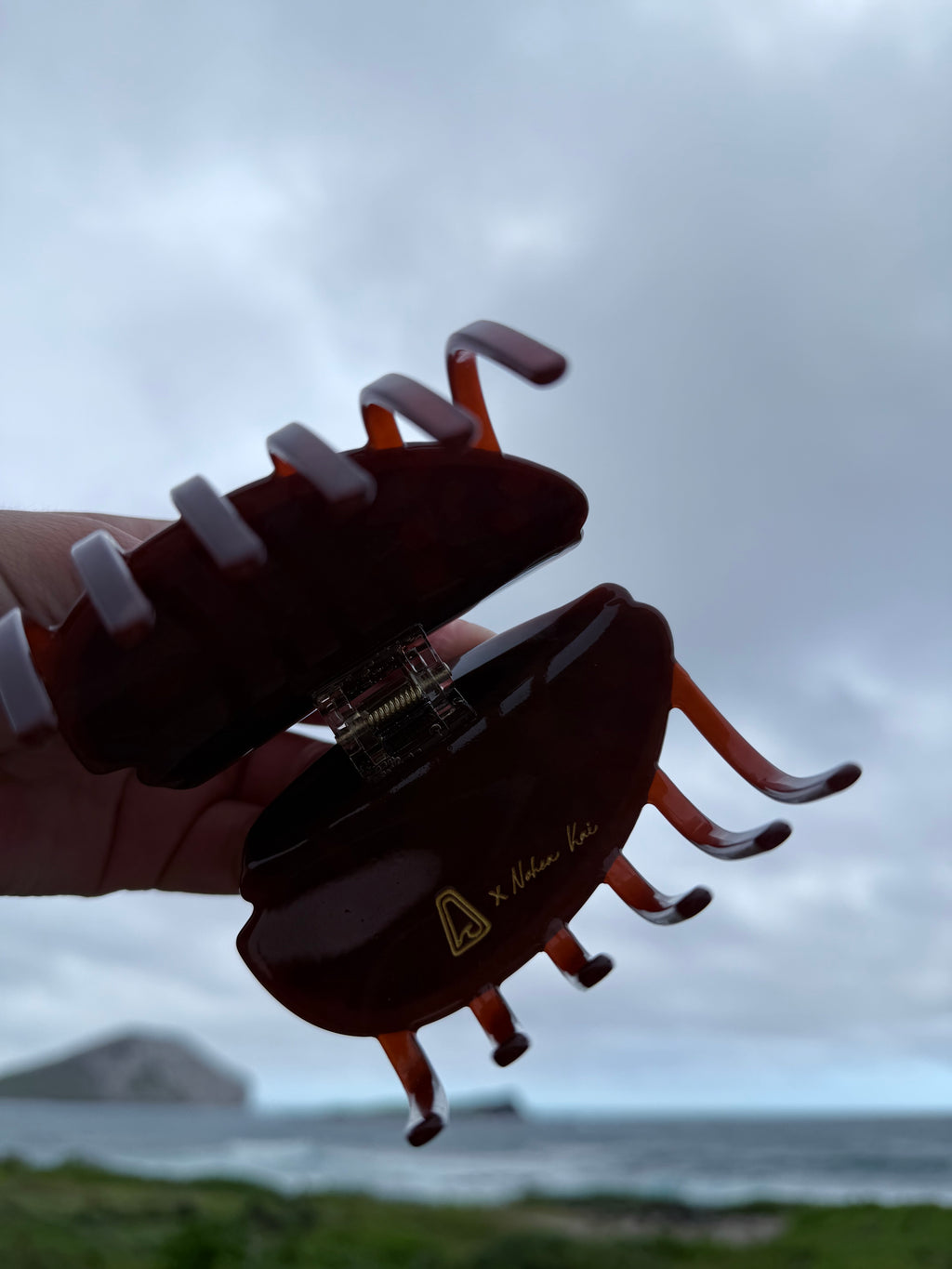 Tai Swim Collab | Cowrie Claw Clip