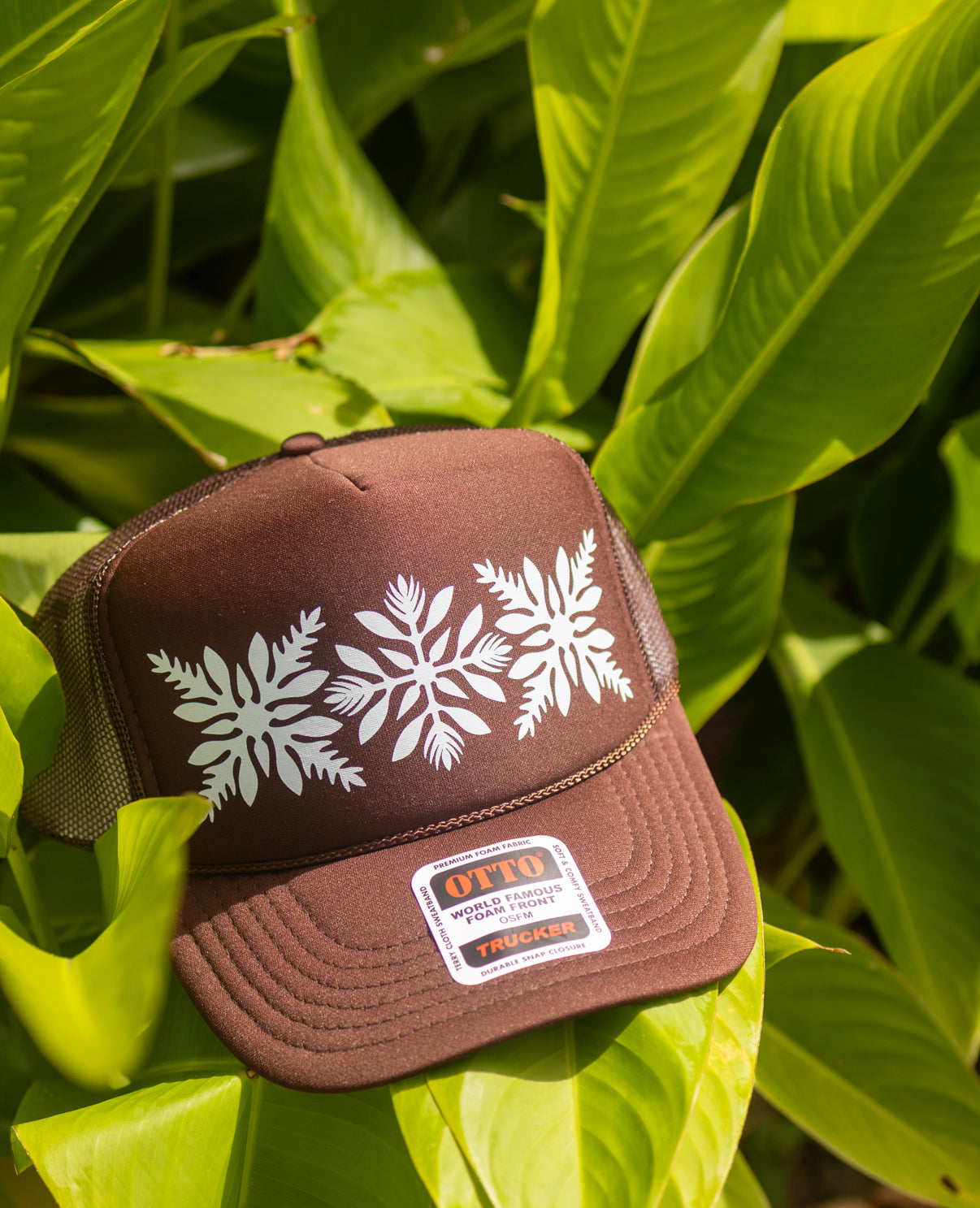Awapuhi Trucker Brown