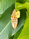 Puakenikeni Miter Shell Clip