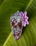 Textile Shell Naupaka Claw Clip