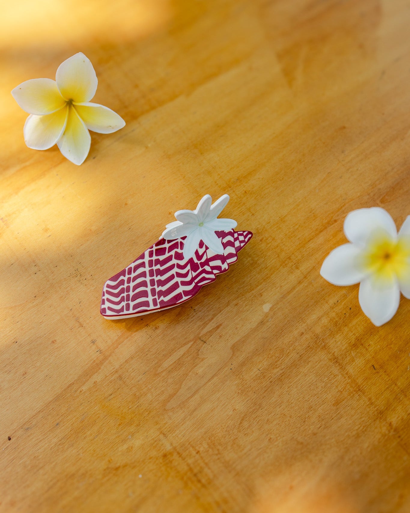 Tiare Miter Shell Claw Clip