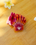 Hibiscus Sunrise Shell Claw Clip